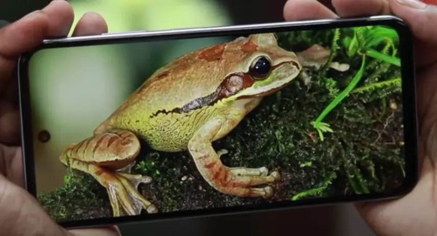 infinix smart 9 hd display image