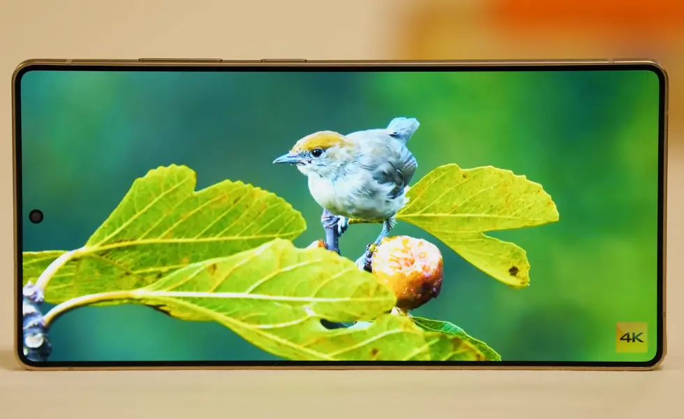 samsung galaxy s25 ultra display image