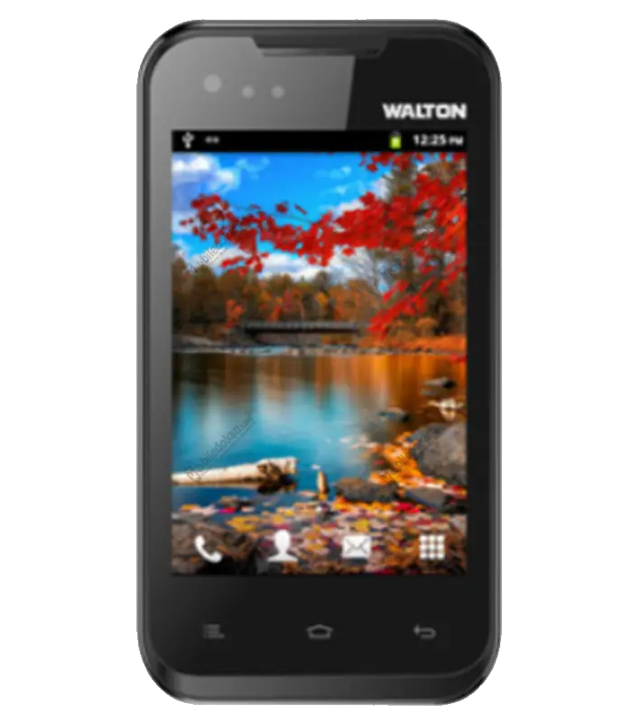 Walton Primo D1